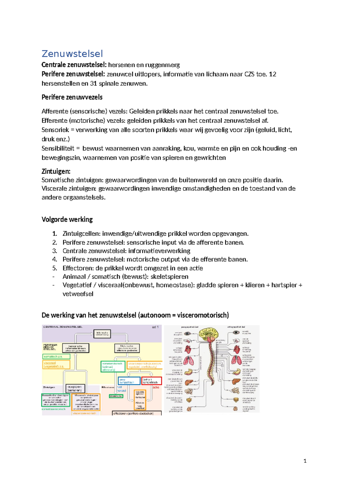 Aantekeningen Fysiologie 1 - Zenuwstelsel Centrale Zenuwstelsel ...