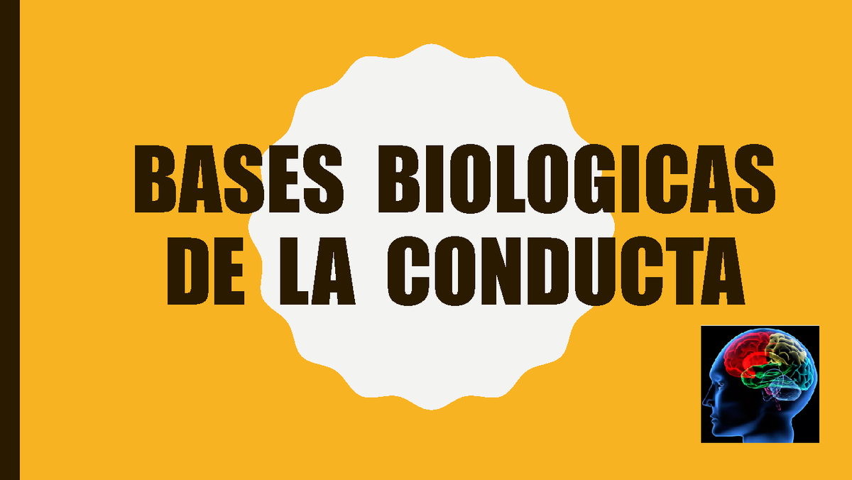 Bases Biologicas DE LA Conducta - BASES BIOLOGICAS DE LA CONDUCTA ...