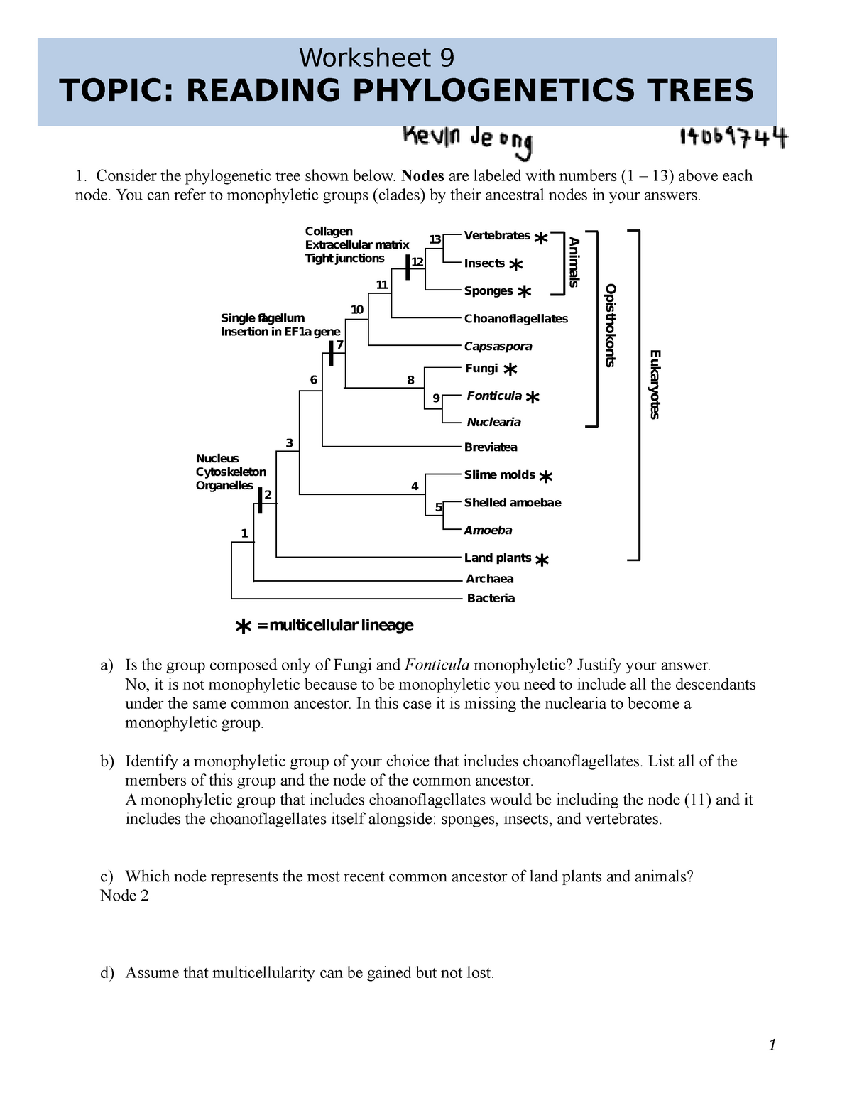 worksheet-9-reading-phylogenetic-trees-ubc-biology-121-name
