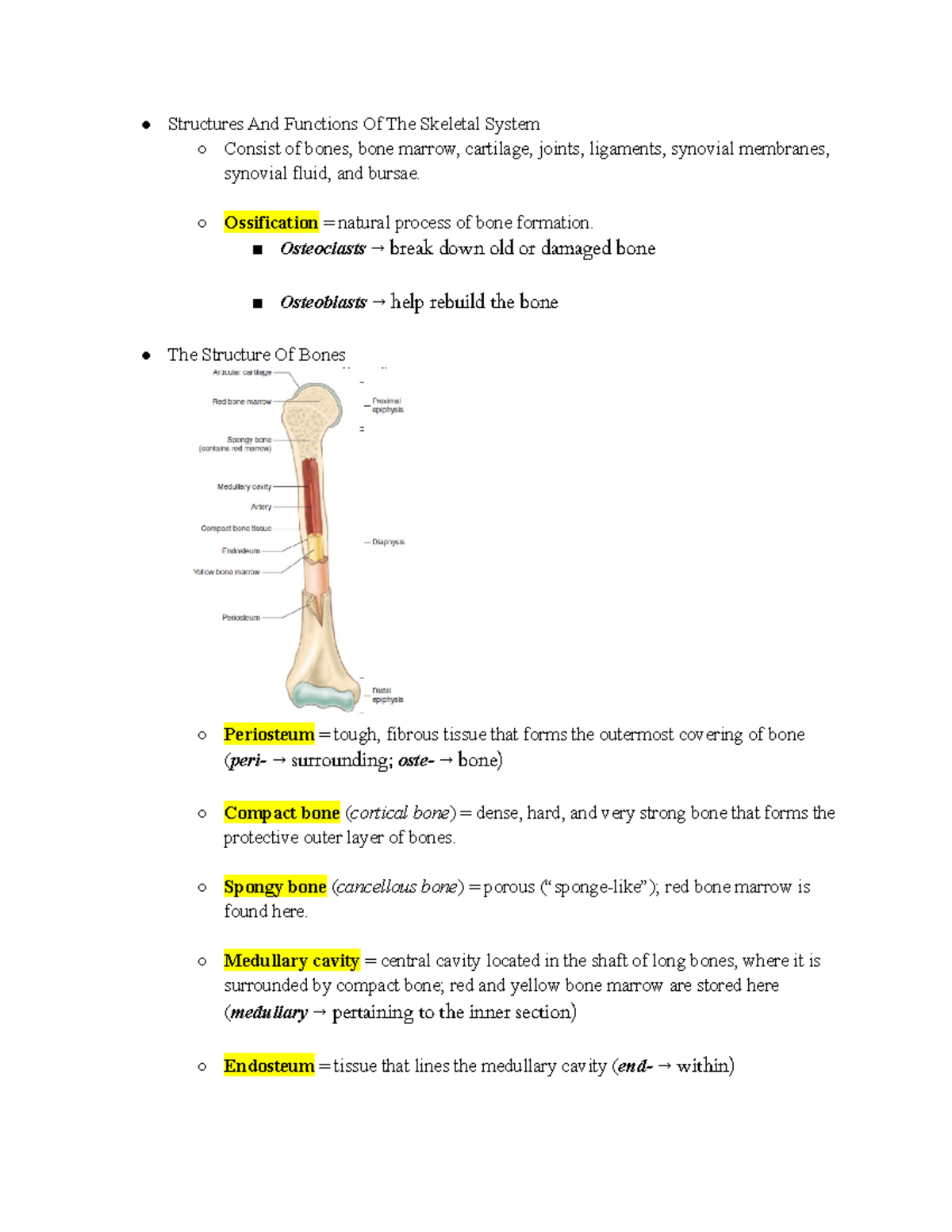 Chapter 3 The Skeletal System - Structures And Functions Of The ...