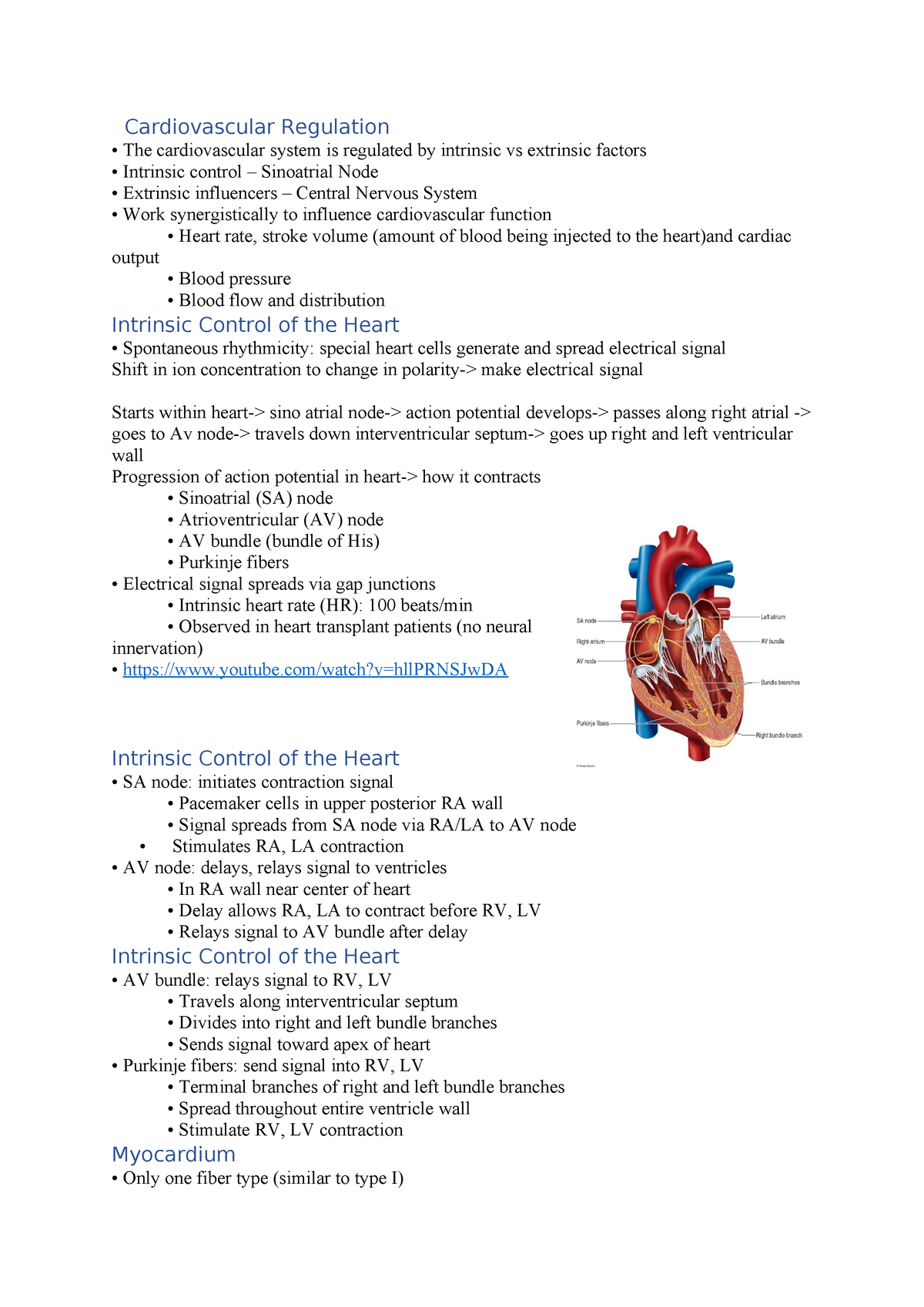 Cardio part 3 - Summary Exercise Physiology and Metabolism ...