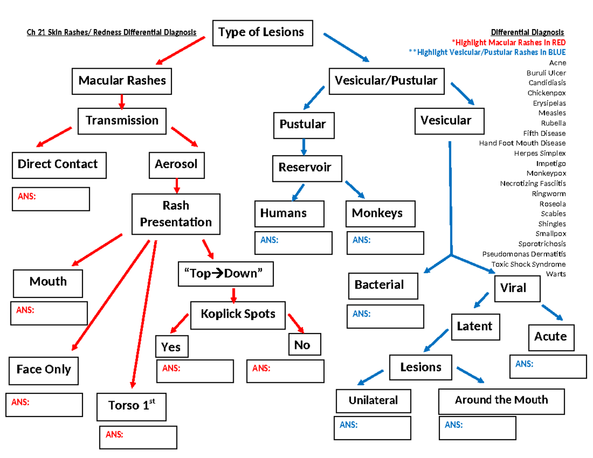 Ch 21 Skin Differential Diagnosis Fa2022 - Ch 21 Skin Rashes/ Redness ...
