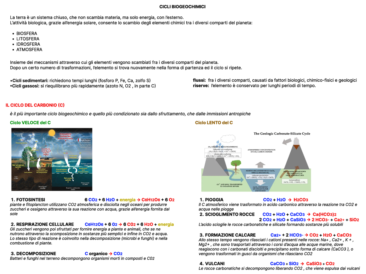 Chimica - sostenibilità prof. Chiadò - CICLI BIOGEOCHIMICI IL CICLO DEL ...