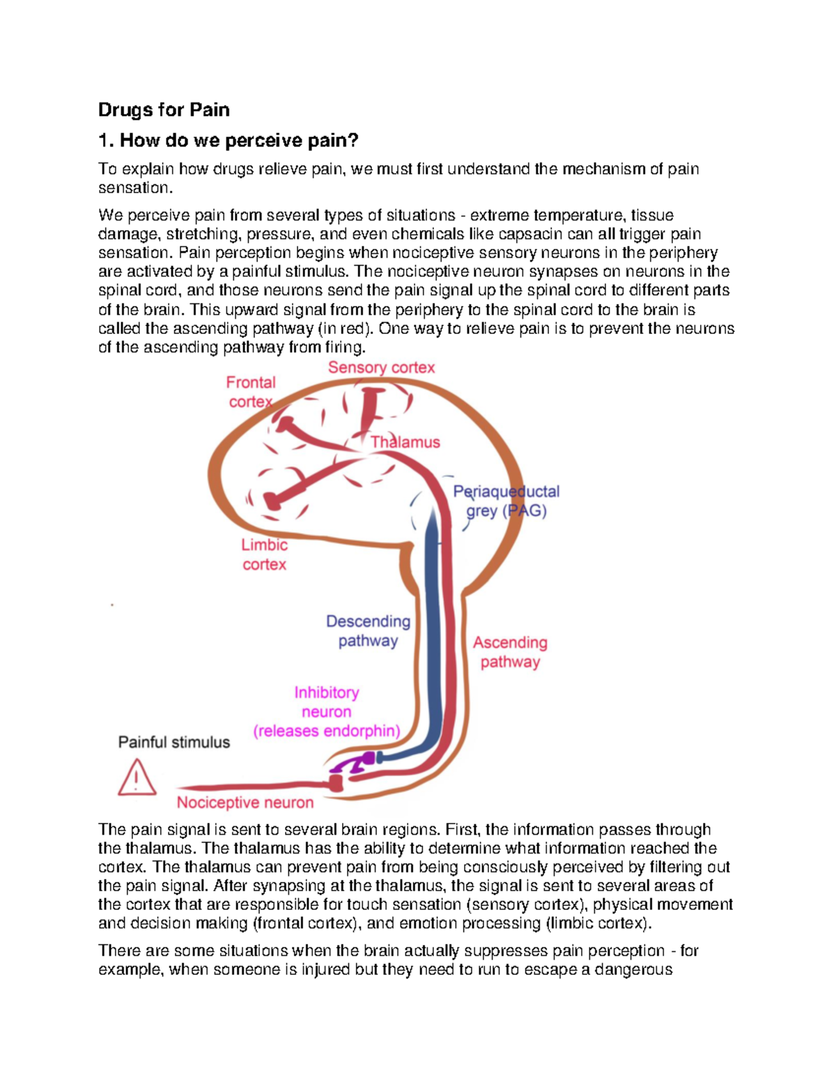 Chapter+3+Drugs+for+Pain - Drugs for Pain 1. How do we perceive pain ...