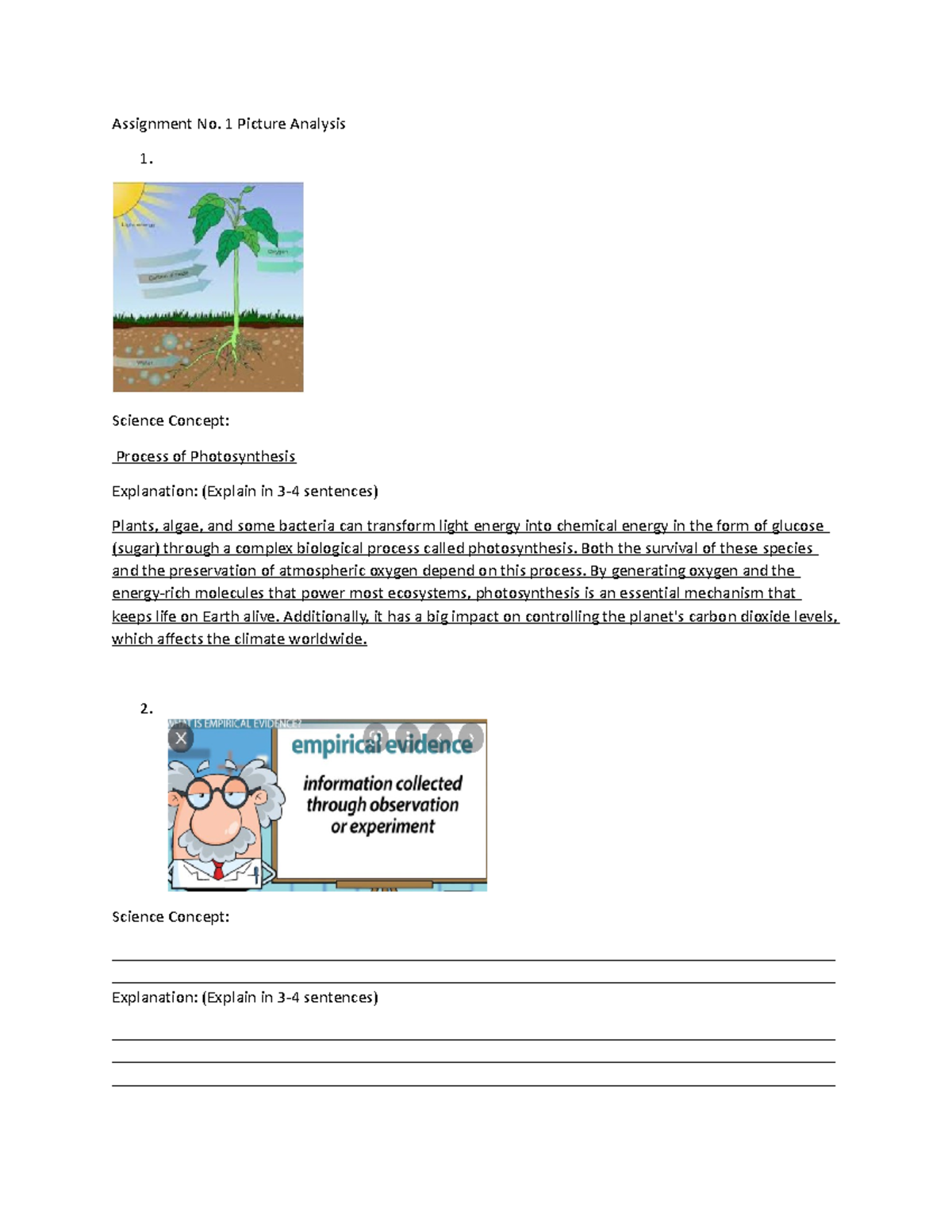 Assignment No. 1 Critical Thinking - Assignment No. 1 Picture Analysis ...