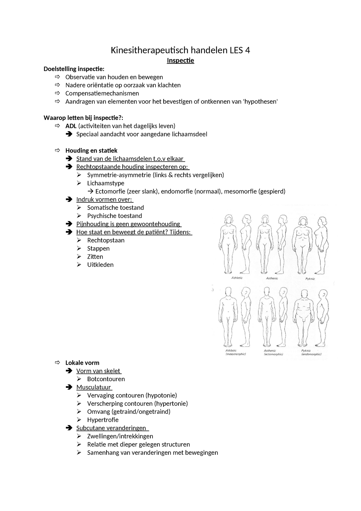 Kinesitherapeutisch Handelen LES 4 - O Elkaar Rechtopstaande Houding ...