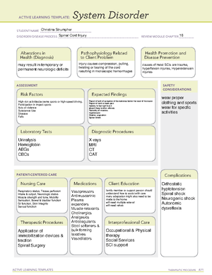 Christina Strumpher System Disorder TBI - ACTIVE LEARNING TEMPLATES ...