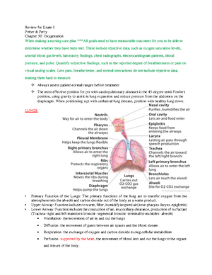 City Tech Study Guide 1030 Final Exam - New York City College of ...