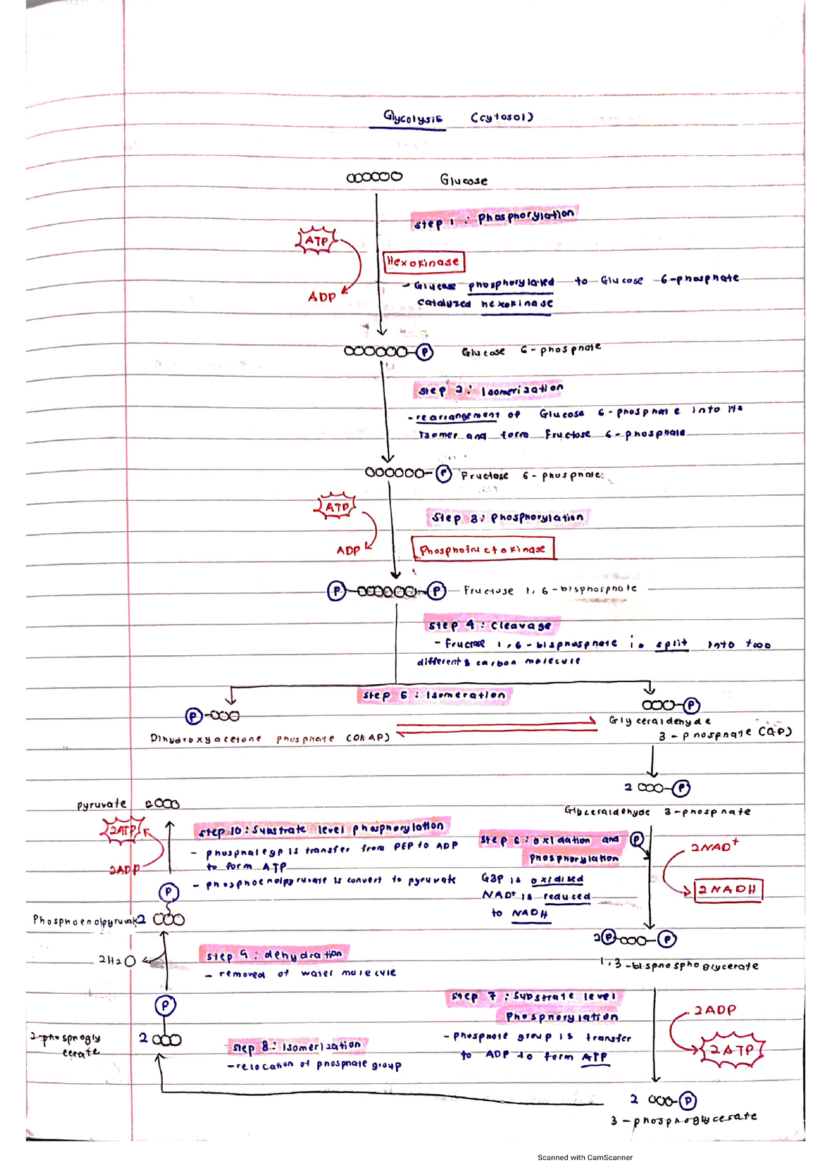 assignment biology matriculation chapter 5