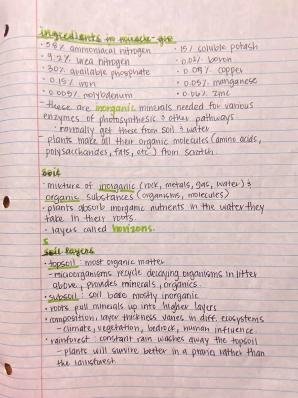 Bio 111 notes 3 - Plant Nutrition...Professor Heather Birdsong ...