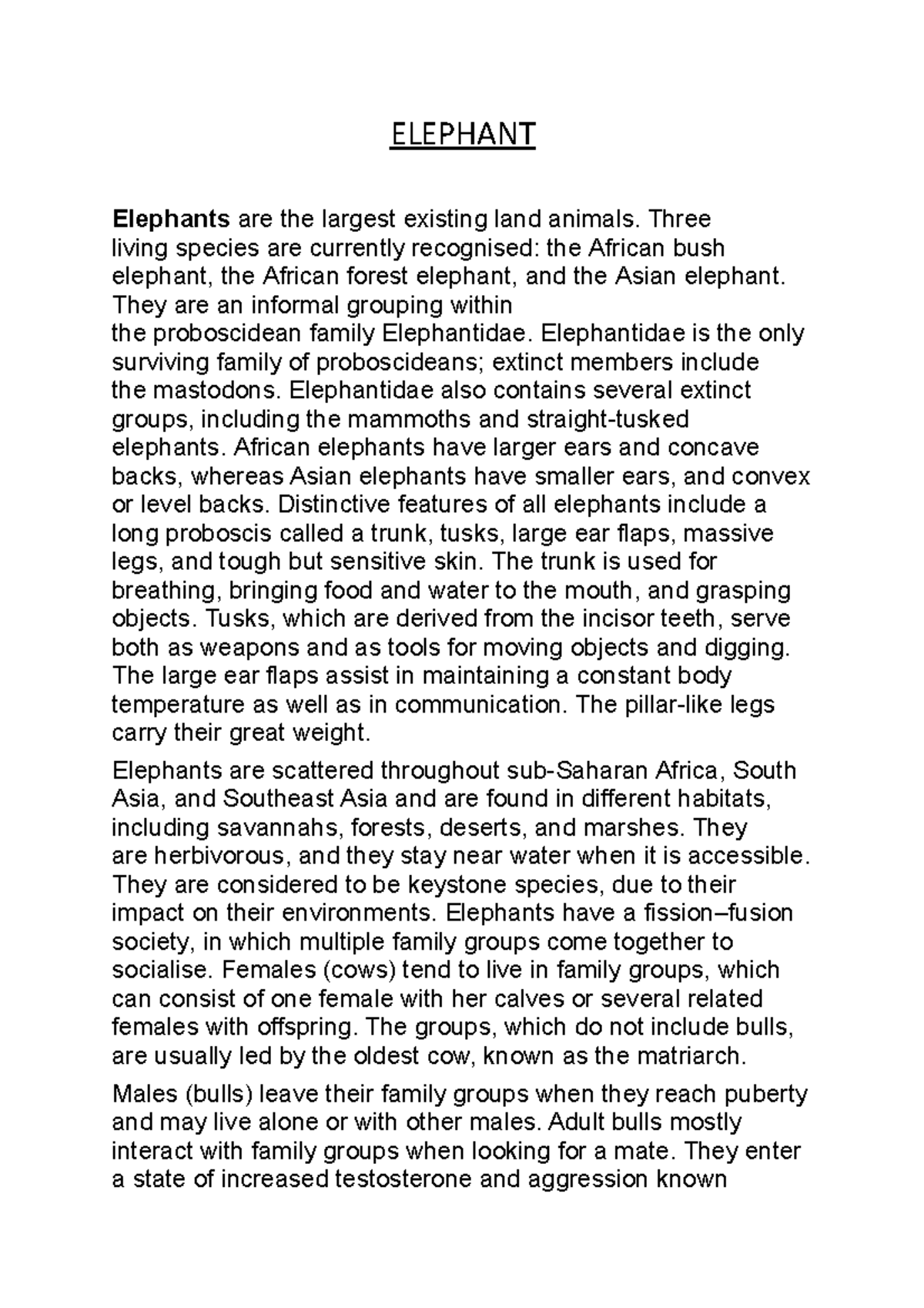 Elephant - What are Elephants and A Brief Summary of Elephants ...