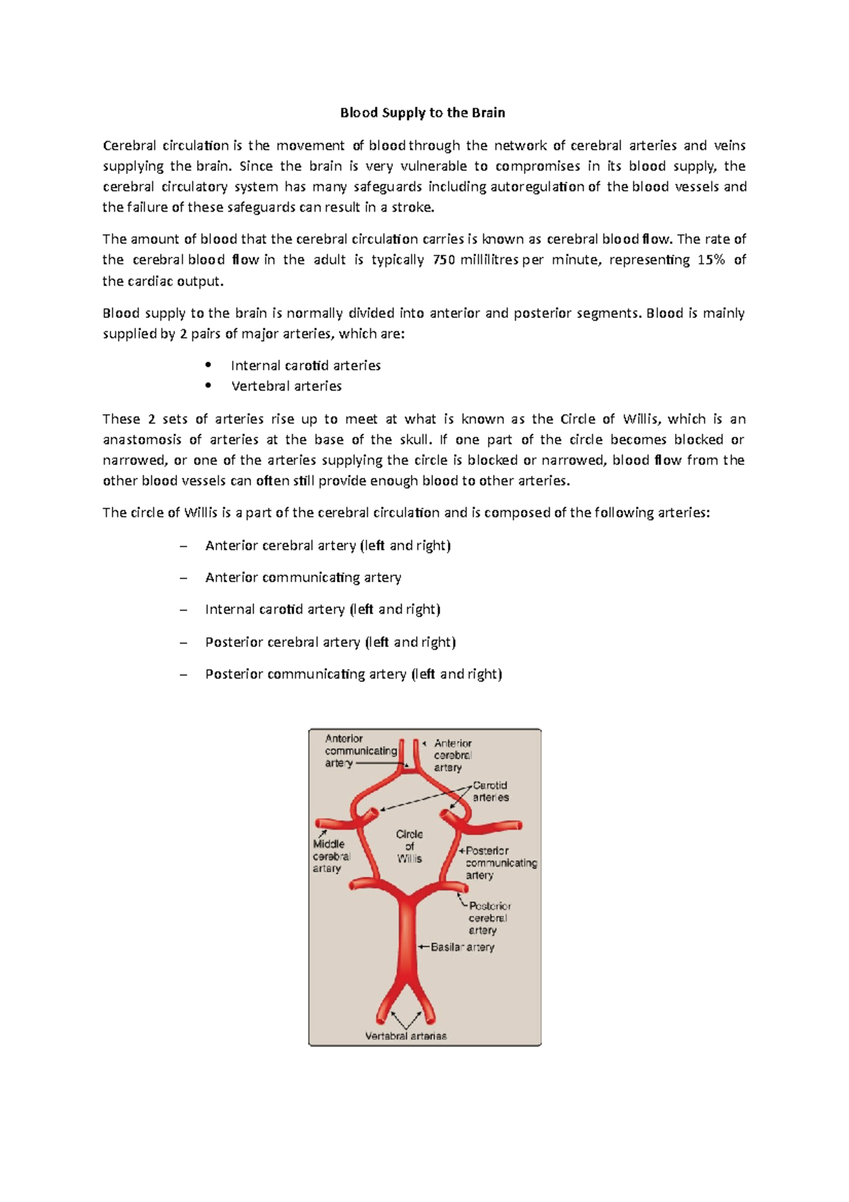 Blood Supply to the Brain - Blood Supply to the Brain Cerebral ...