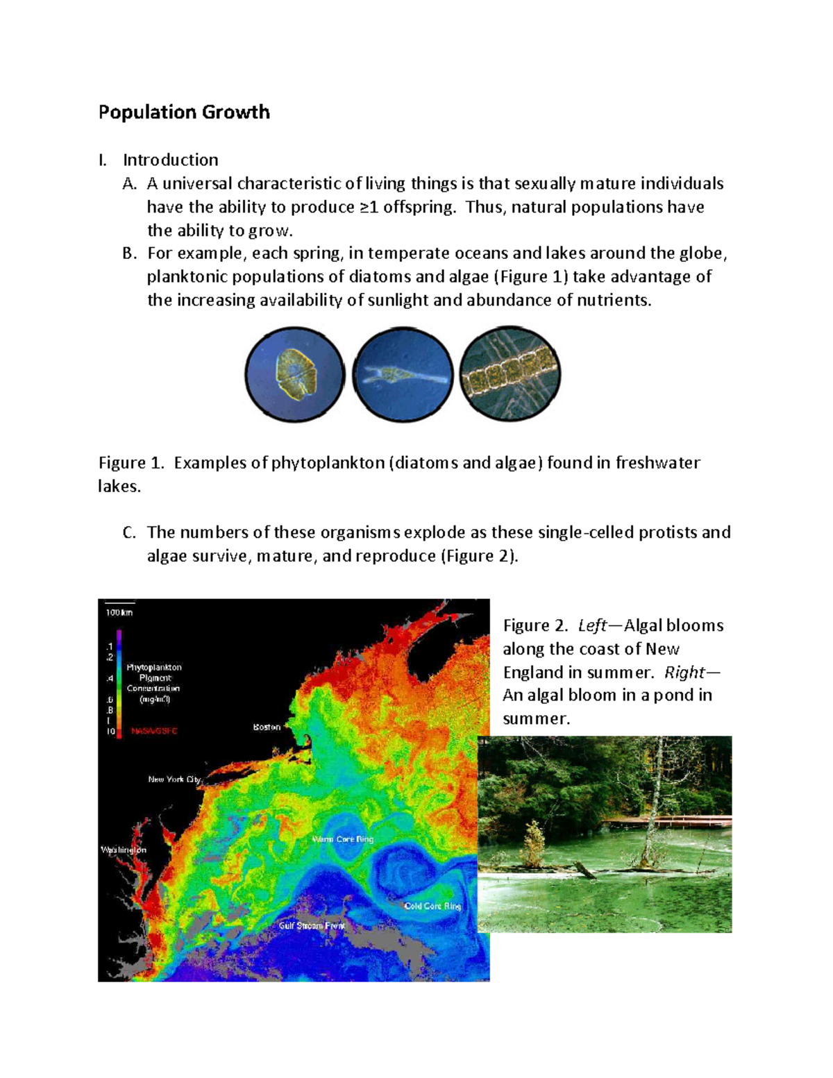 Population Growth Notes