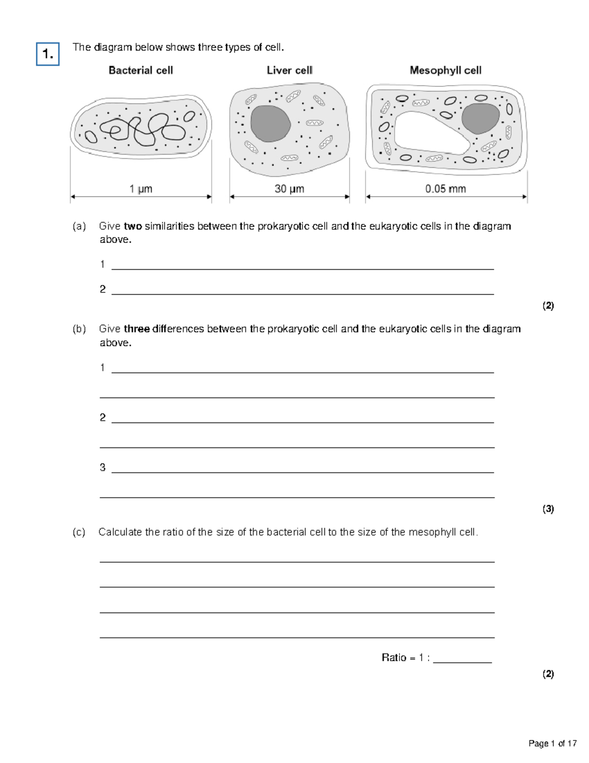 1 - yea - The diagram below shows three types of cell. 1. (a) Give two ...