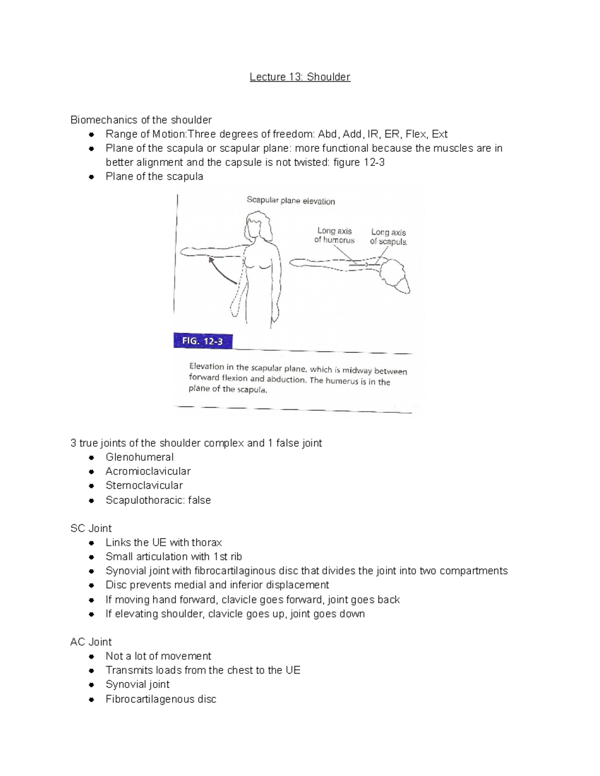 Lecture 12 Shoulder Lecture 13 Shoulder Biomechanics Of The Shoulder