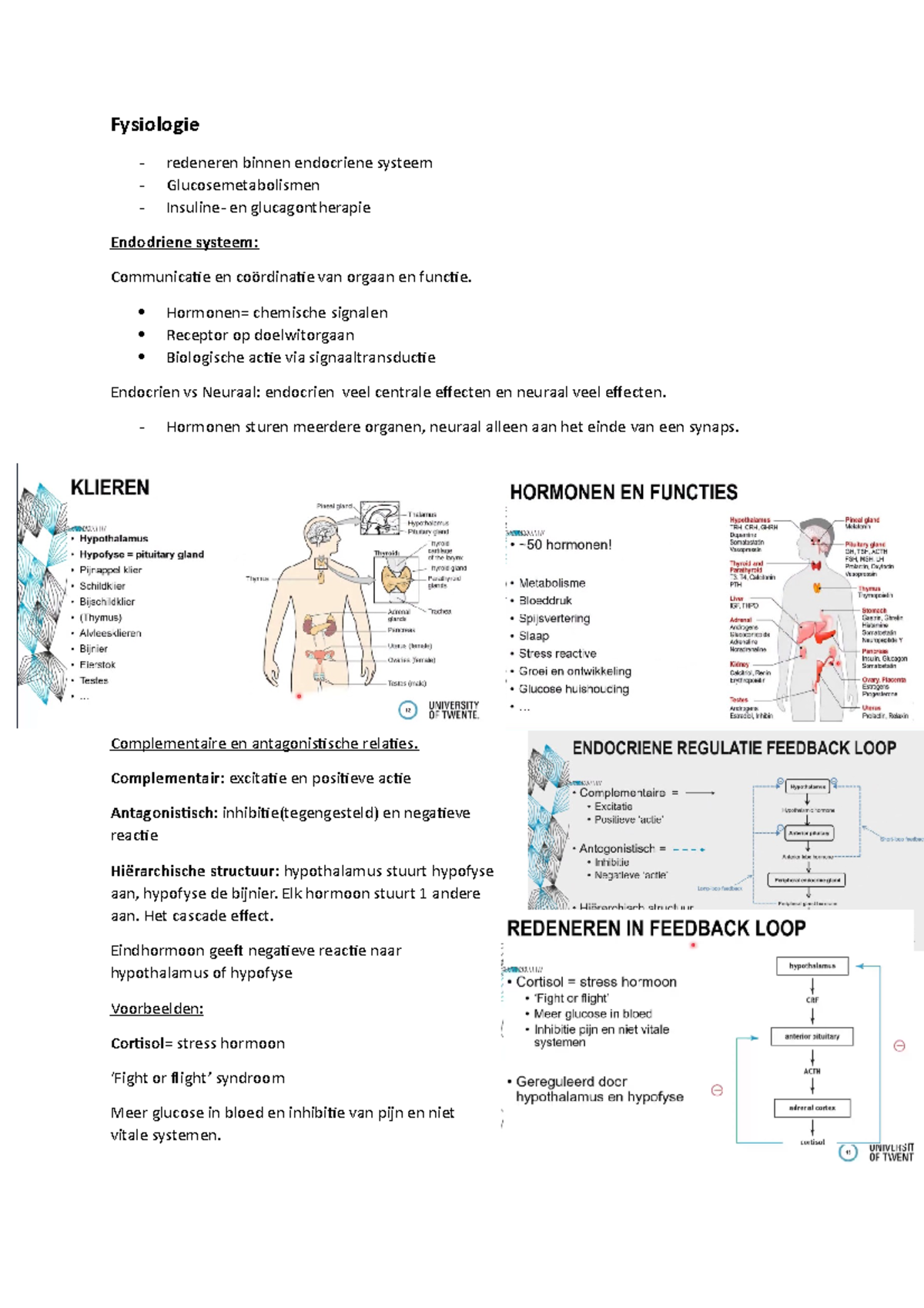 Fyiologie Aantekeningen - Fysiologie Redeneren Binnen Endocriene ...