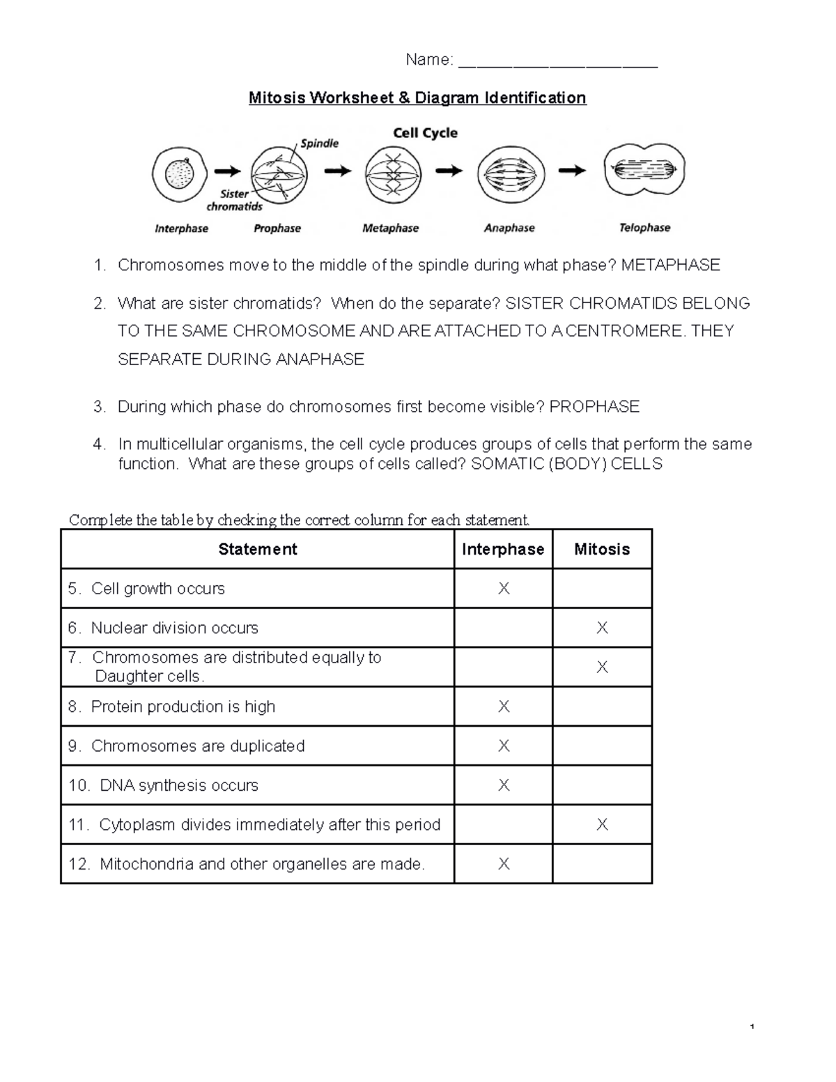Mitosisworksheet-KEY-1cq6ob9 - Name: ______________________ Mitosis ...