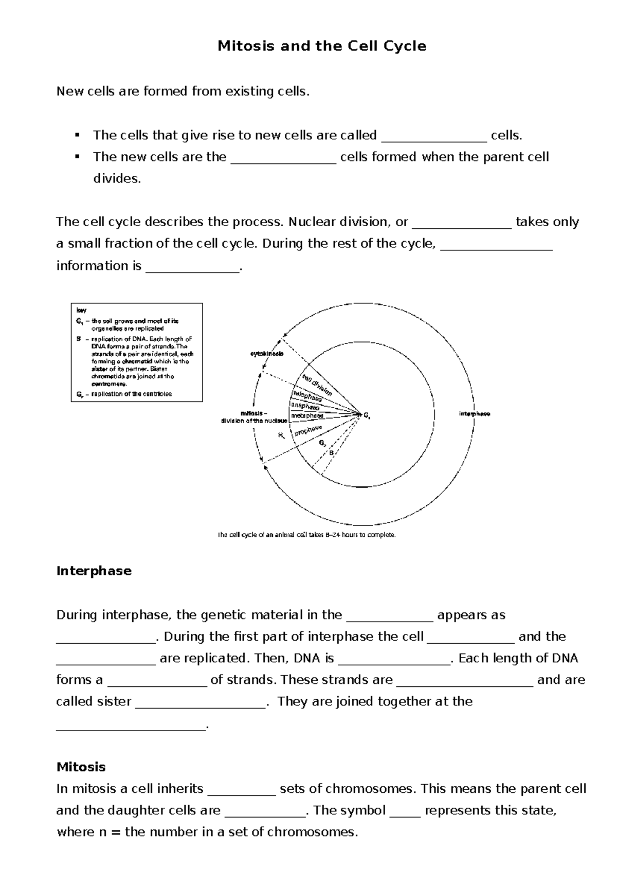 Cell Cycle Questions - Mitosis and the Cell Cycle New cells are formed ...