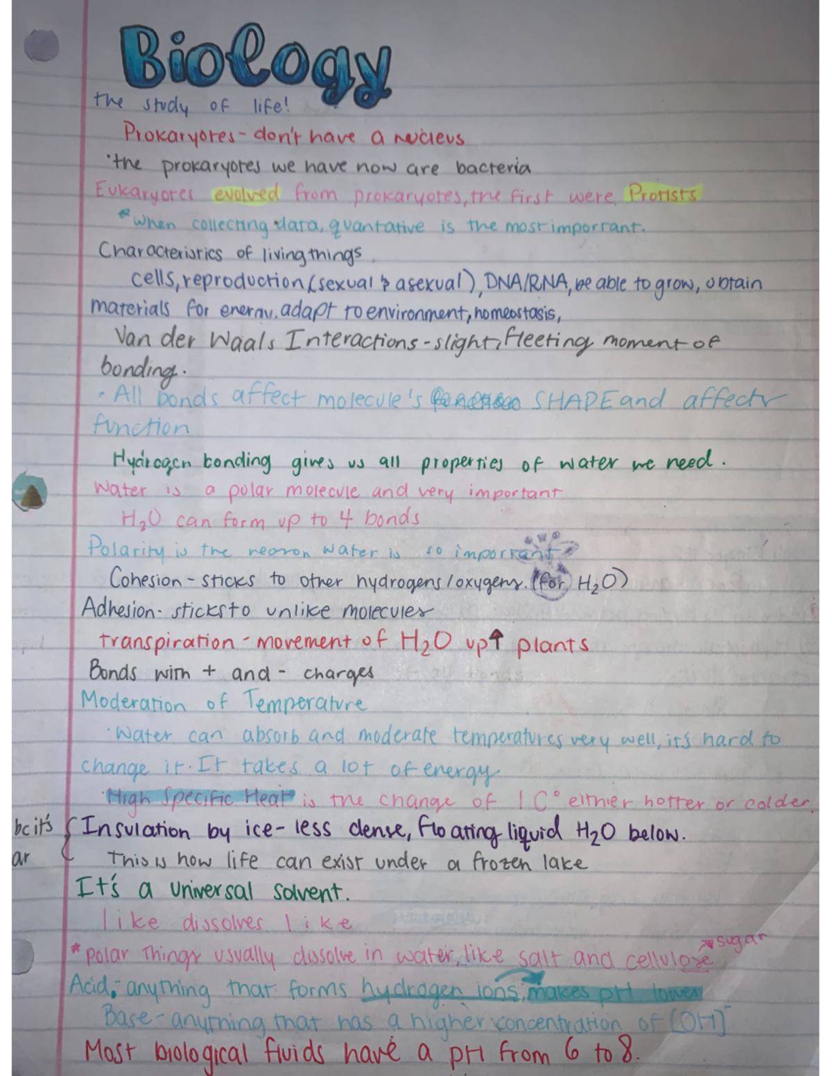 AP Biology notes - Studocu