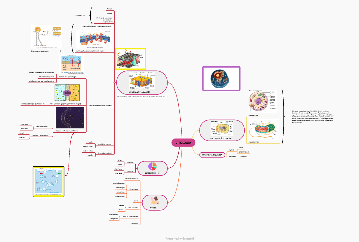 Citologia-MAPA - MAPA MENTAL CITOLOGIA - CITOLOGIA CLASSIFICAÇÃO ...