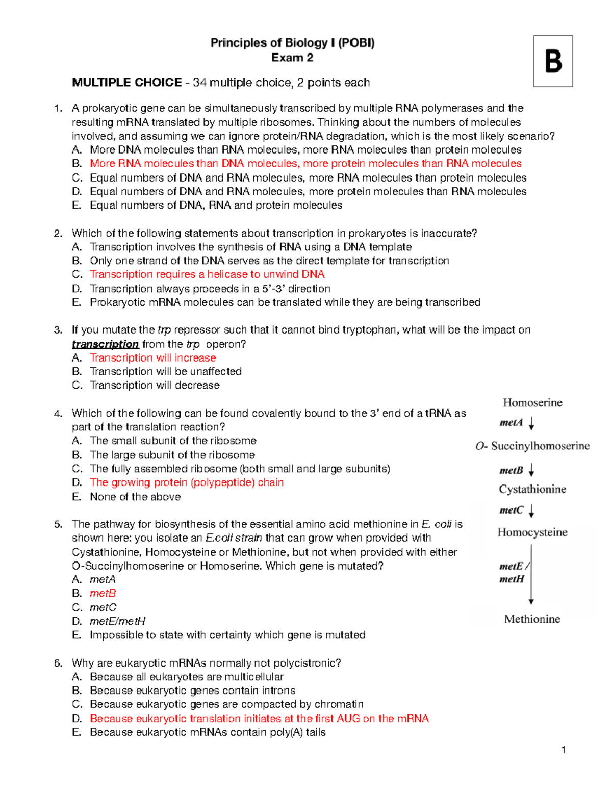 POB Exam 2B - KEY - practice material for the exams/ materials and ...