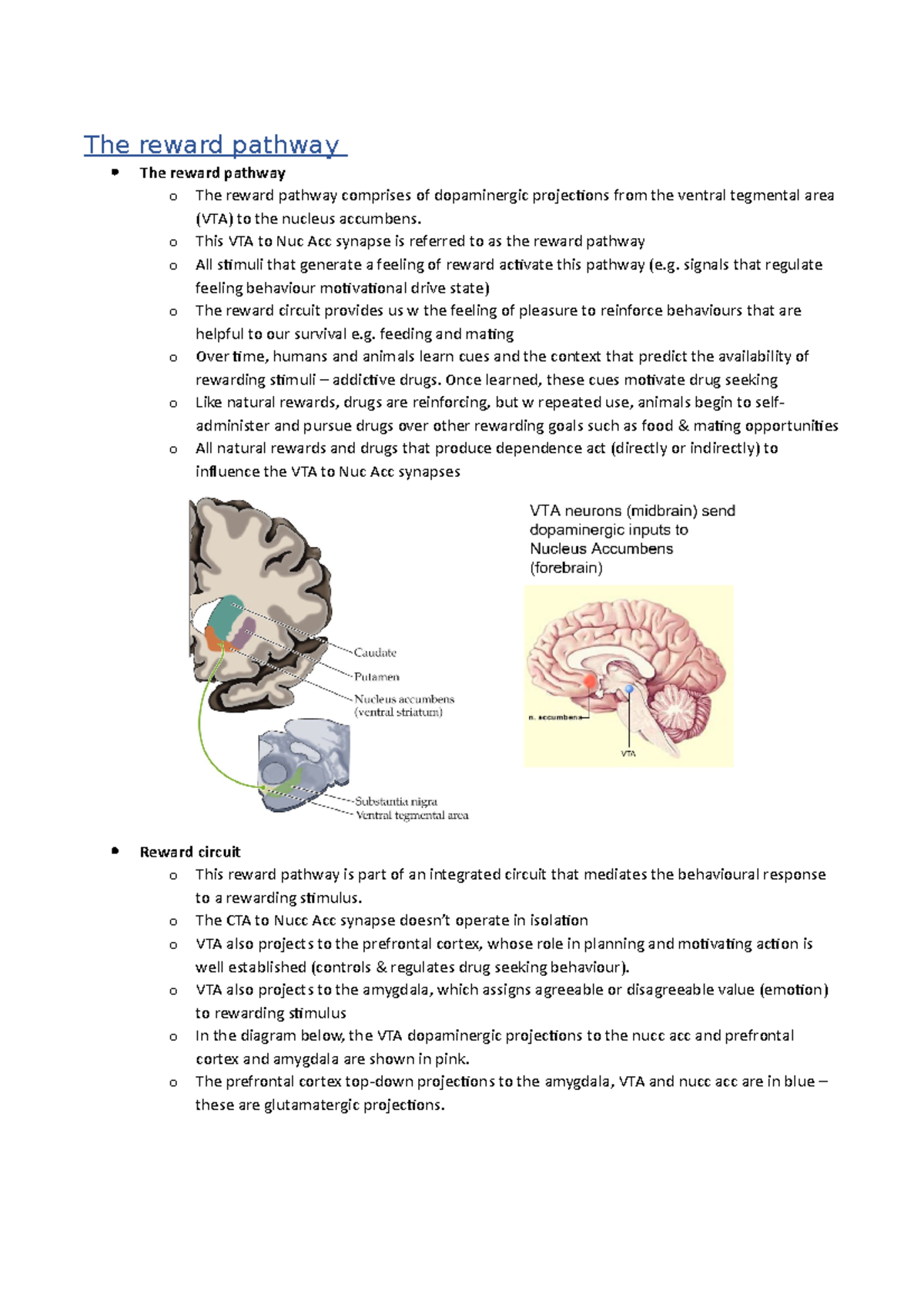 Pharmacology Of Reward Pathway - The Reward Pathway The Reward Pathway 