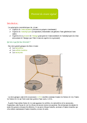 Les Algues Introduction - Les Algues Introduction Les « Algues » N ...