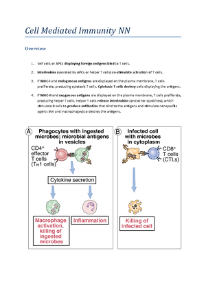 Cytokines and Immune Response - Macrophages cannot prime an adaptive ...