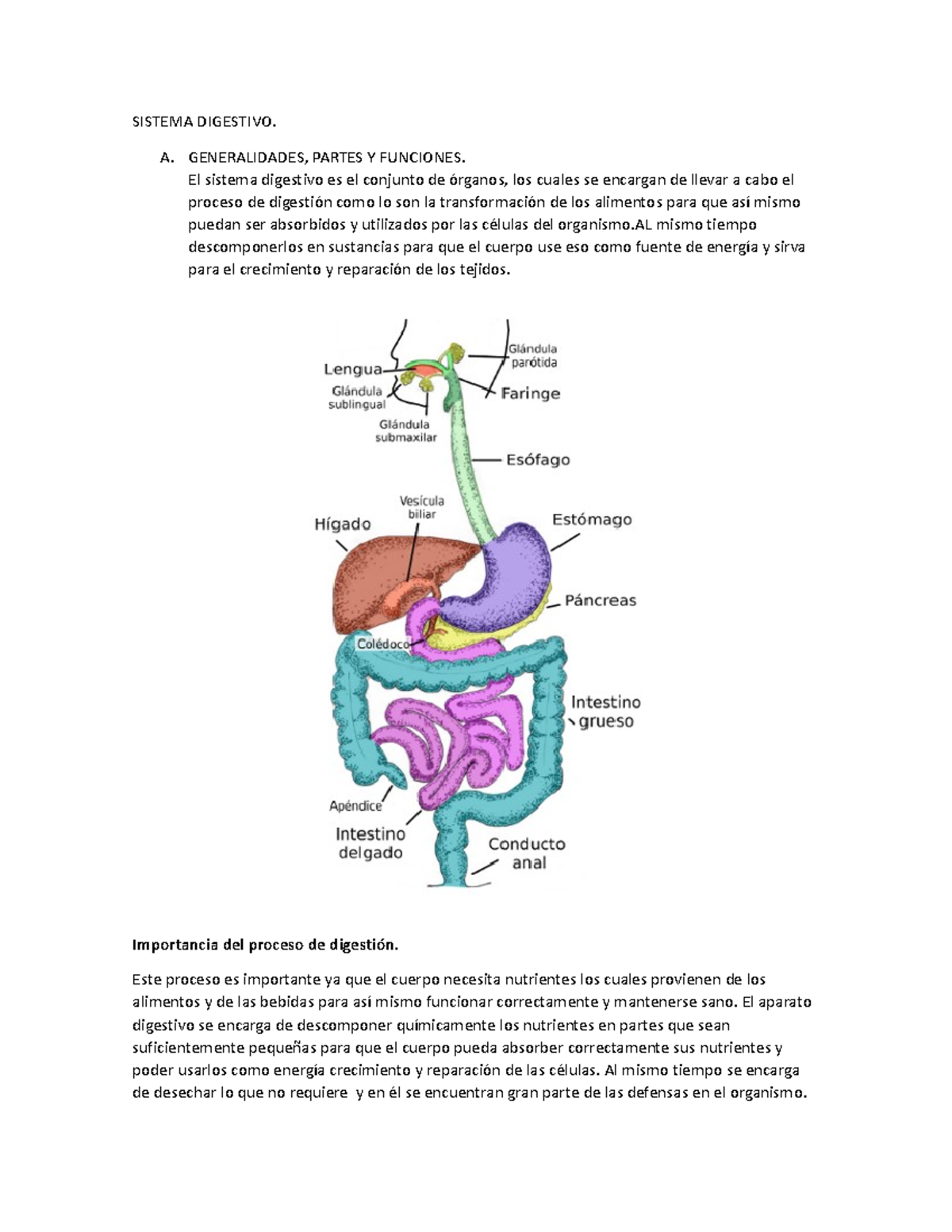 Sistema Digestivo y sus partes - SISTEMA DIGESTIVO. A. GENERALIDADES ...