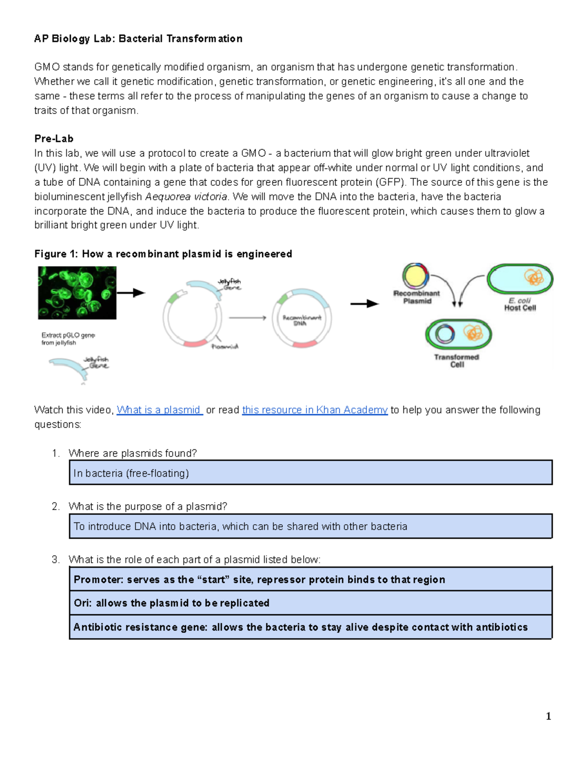 pGLO prefab - bacteria plasmids - AP Biology Lab: Bacterial ...