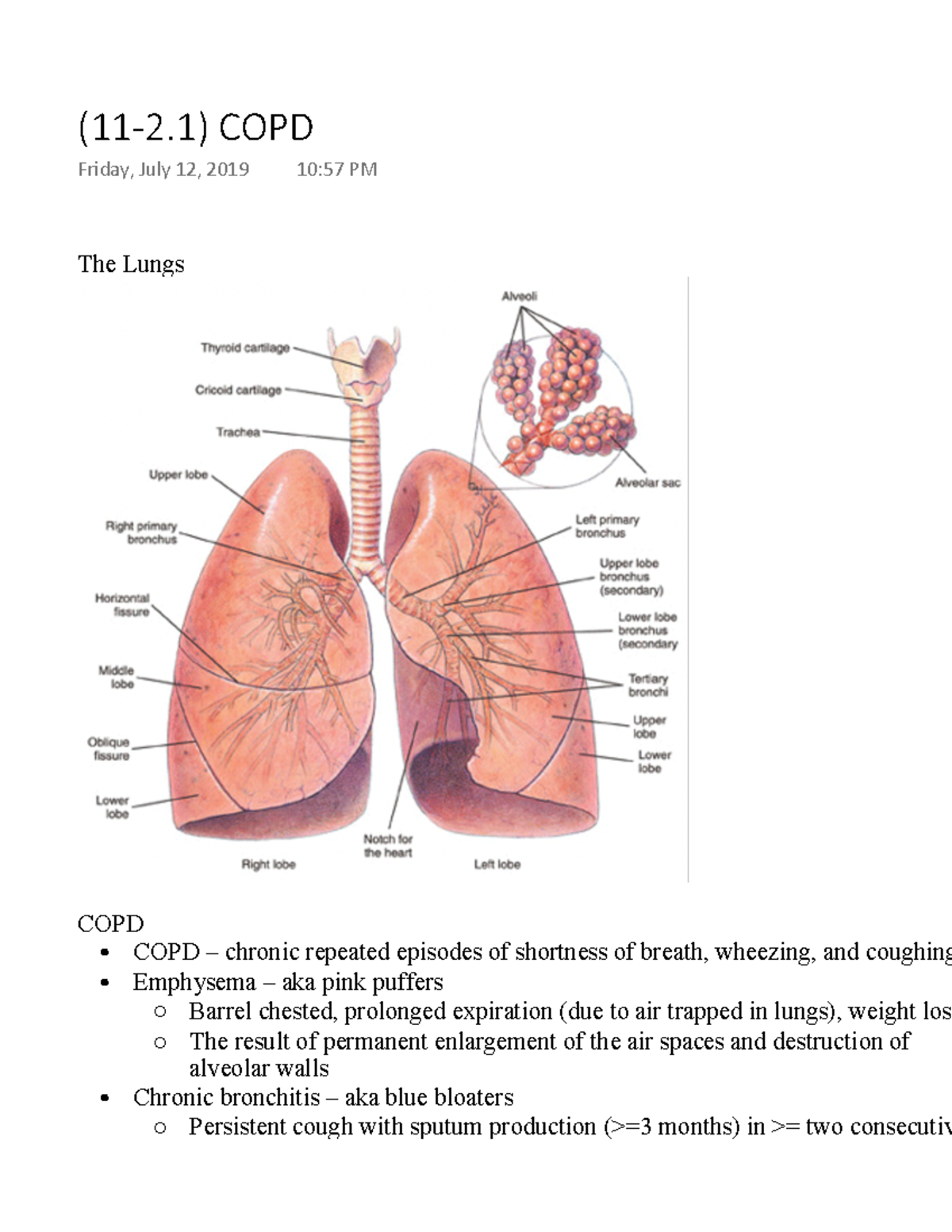(11-2.1) COPD - Lecture notes 11-2.1 - Warning: TT: undefined function ...