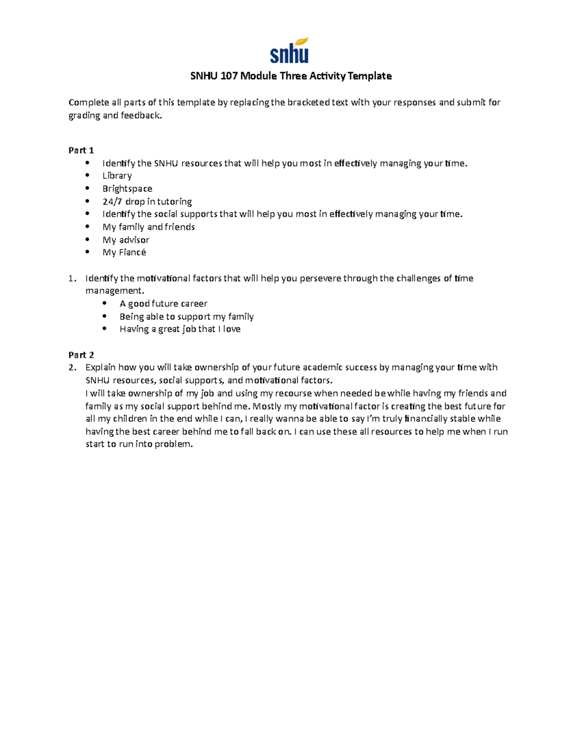 snm assignment template ecu