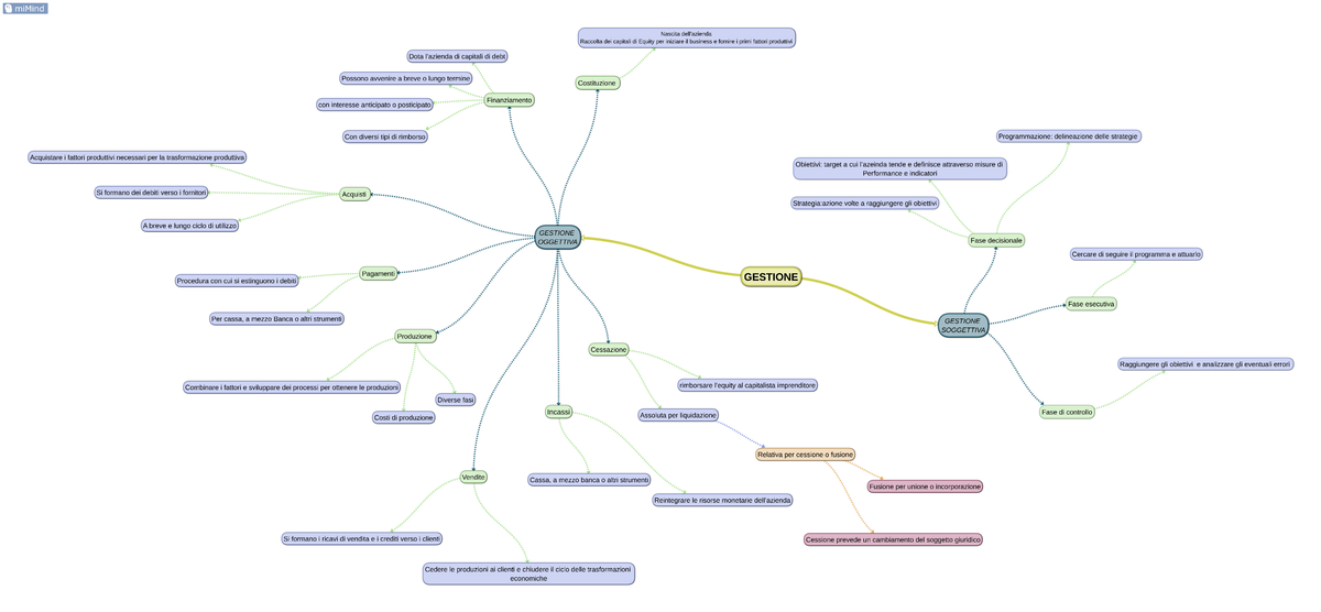 Gestione - Mappa - Economia Aziendale - Studocu