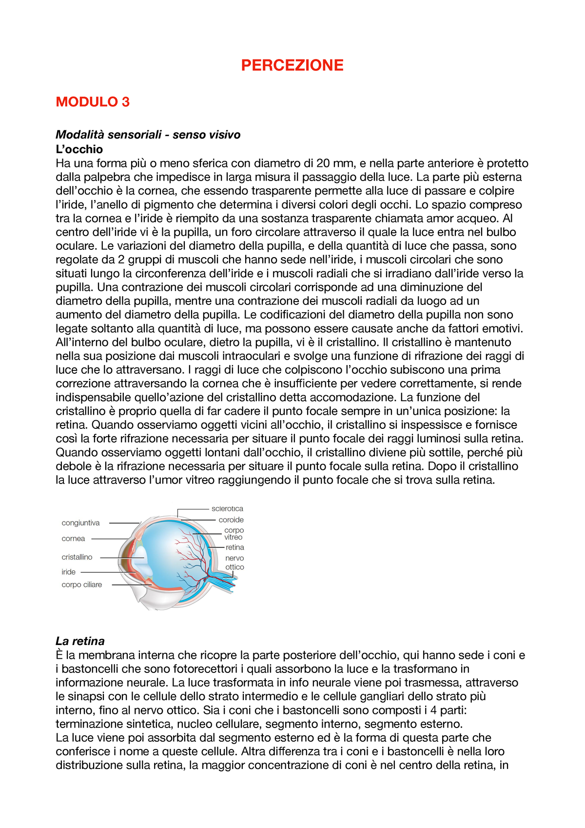 Percezione 3 - Riassunto 3 - PERCEZIONE MODULO 3 Modalità Sensoriali ...