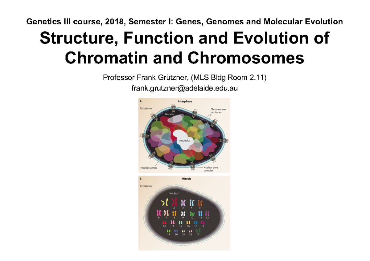 1-3 Lecture 23-2-18 - Genetics Course, 2018, Semester I: Genes, Genomes ...