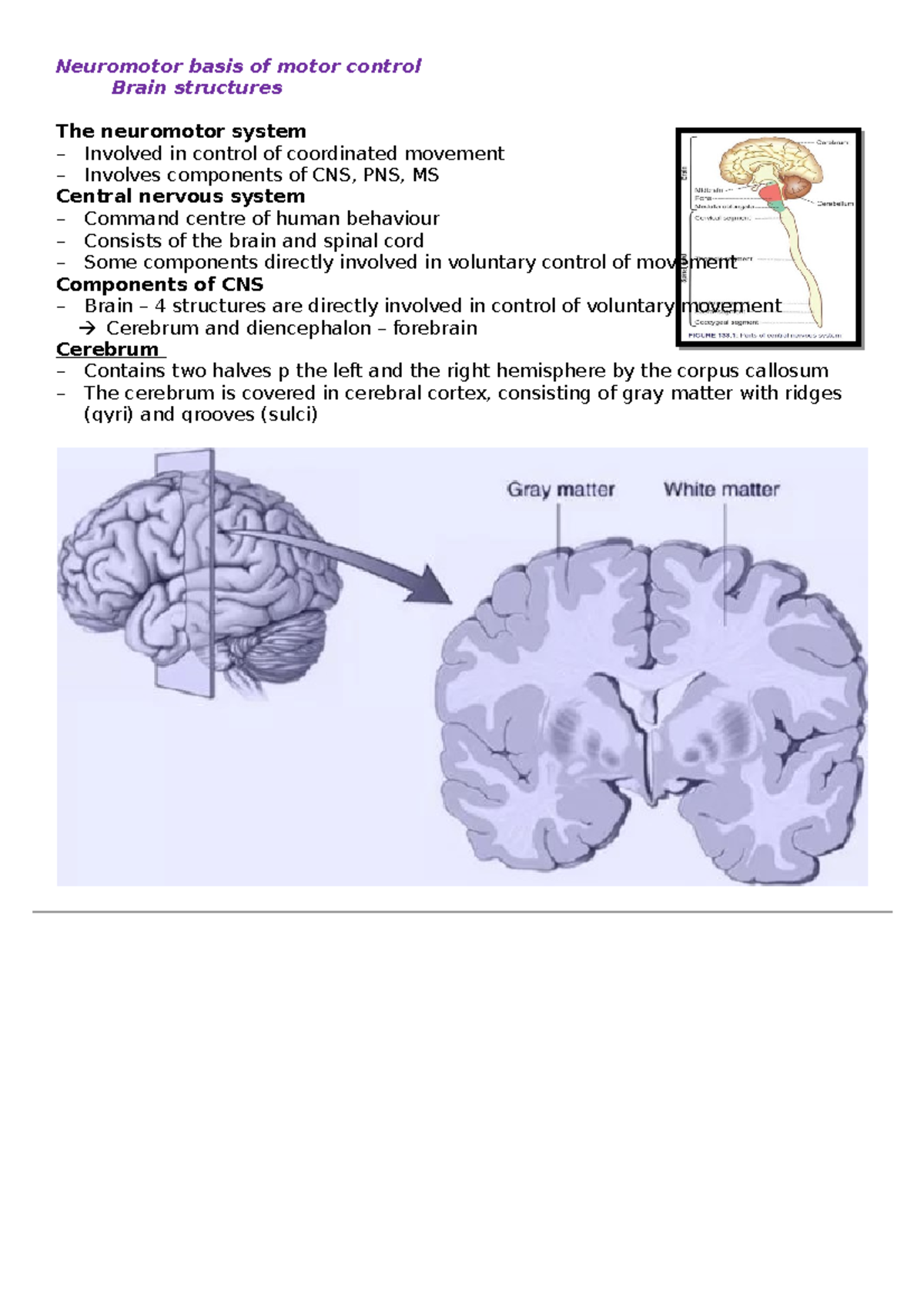 Motor learning week 2 part 2 - Neuromotor basis of motor control Brain ...