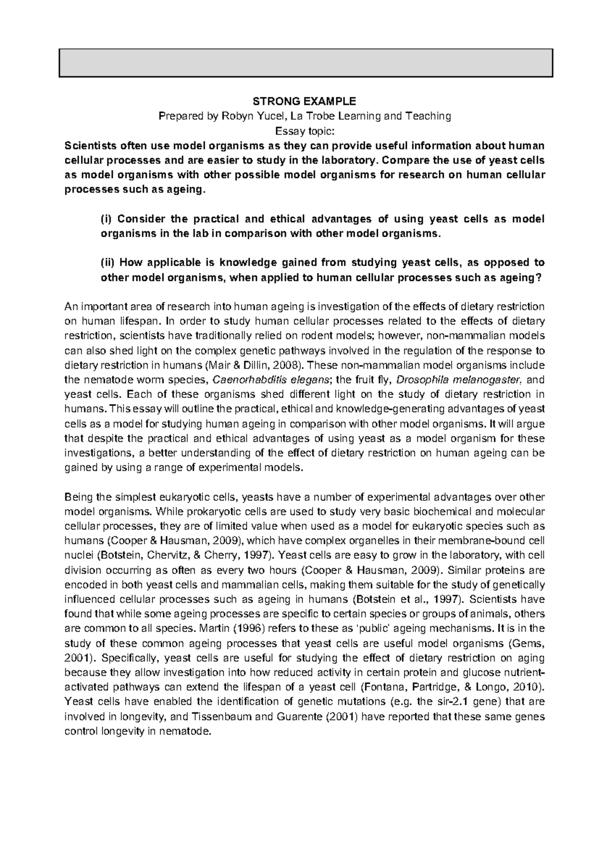 Essay Strong Example - good - STRONG EXAMPLE Prepared by Robyn Yucel ...