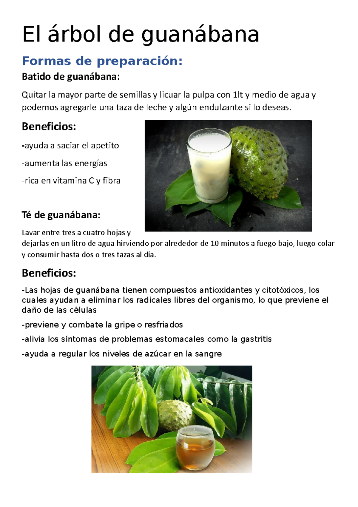 El árbol de guanábana xdlkbiuwu El árbol de guanábana Formas de