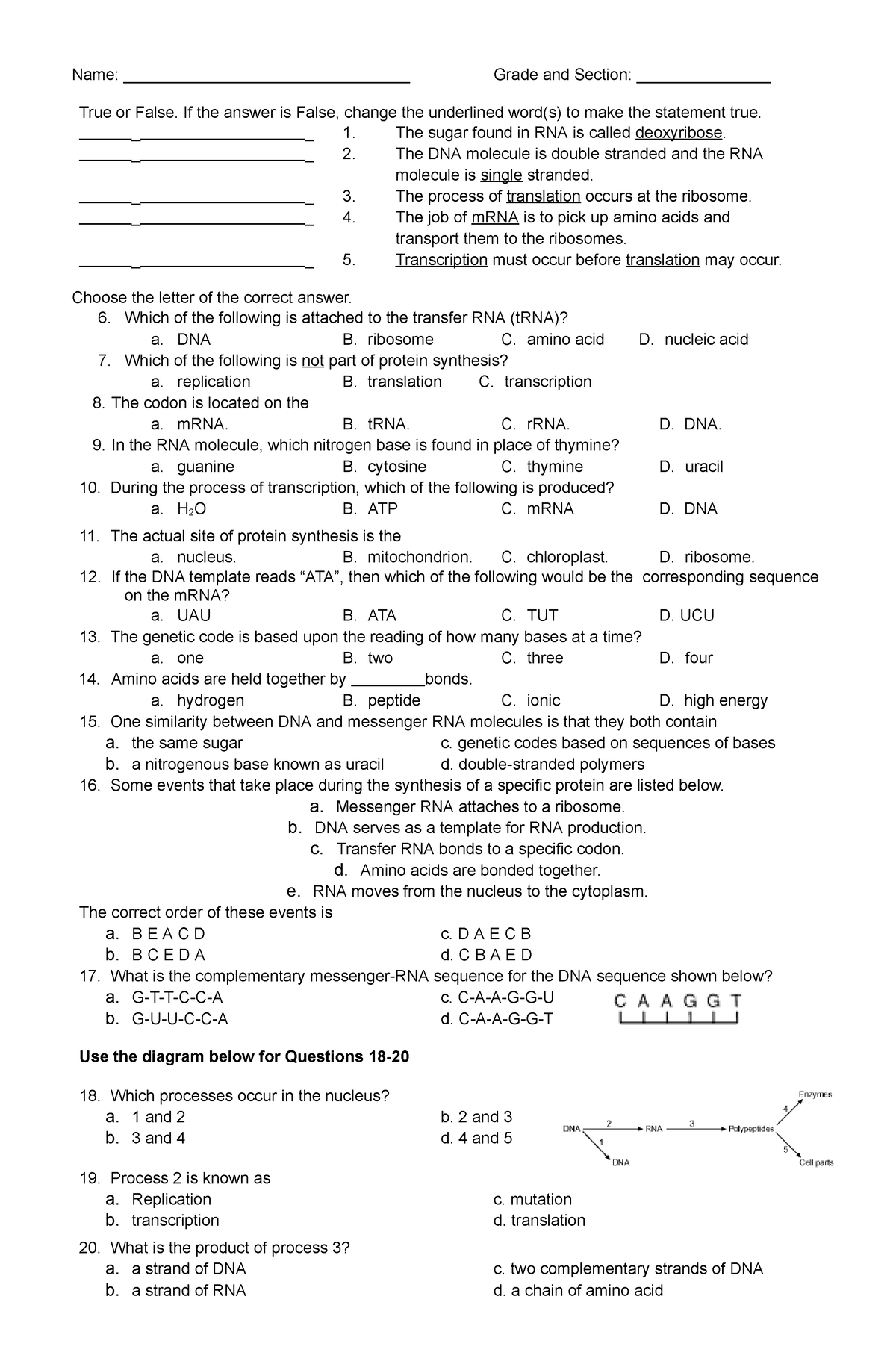 RNA and Protein Synthesis Problem Set - Name ...