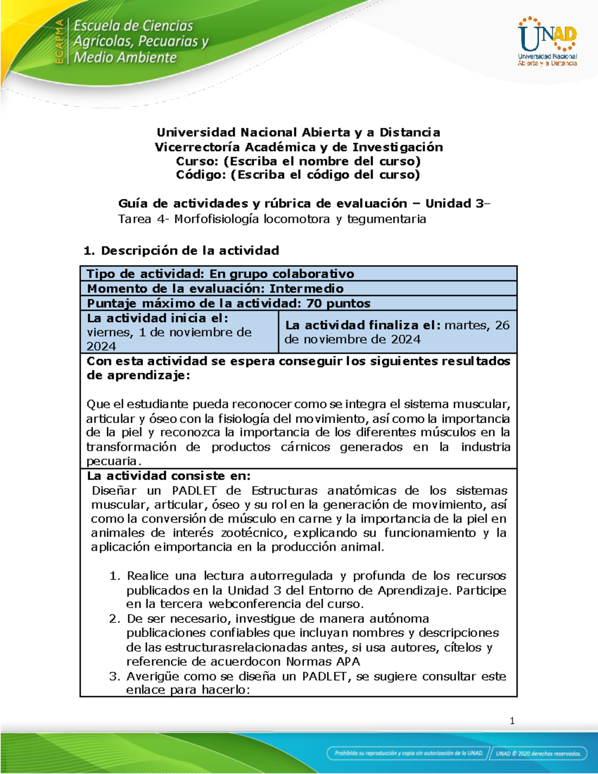 Gu A De Actividades Y R Brica De Evaluaci N Unidad Tarea Morfofisiolog A Locomotora Y