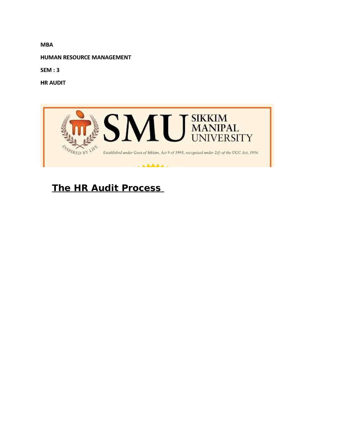 The HR Audit Process Pdf - MBA HUMAN RESOURCE MANAGEMENT SEM : 3 HR ...