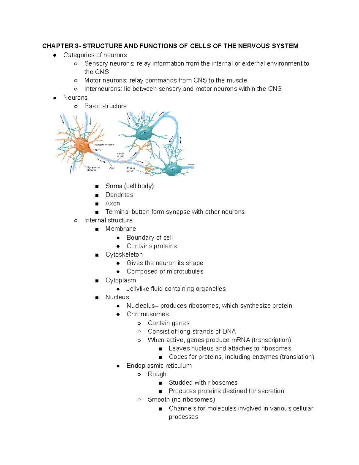 Bbb Chapter 3 Notes Part 1 Chapter 3 Structure And Functions Of Bbb Chapter 3 Notes Part 1 Chapter 3 Structure And Functions Of