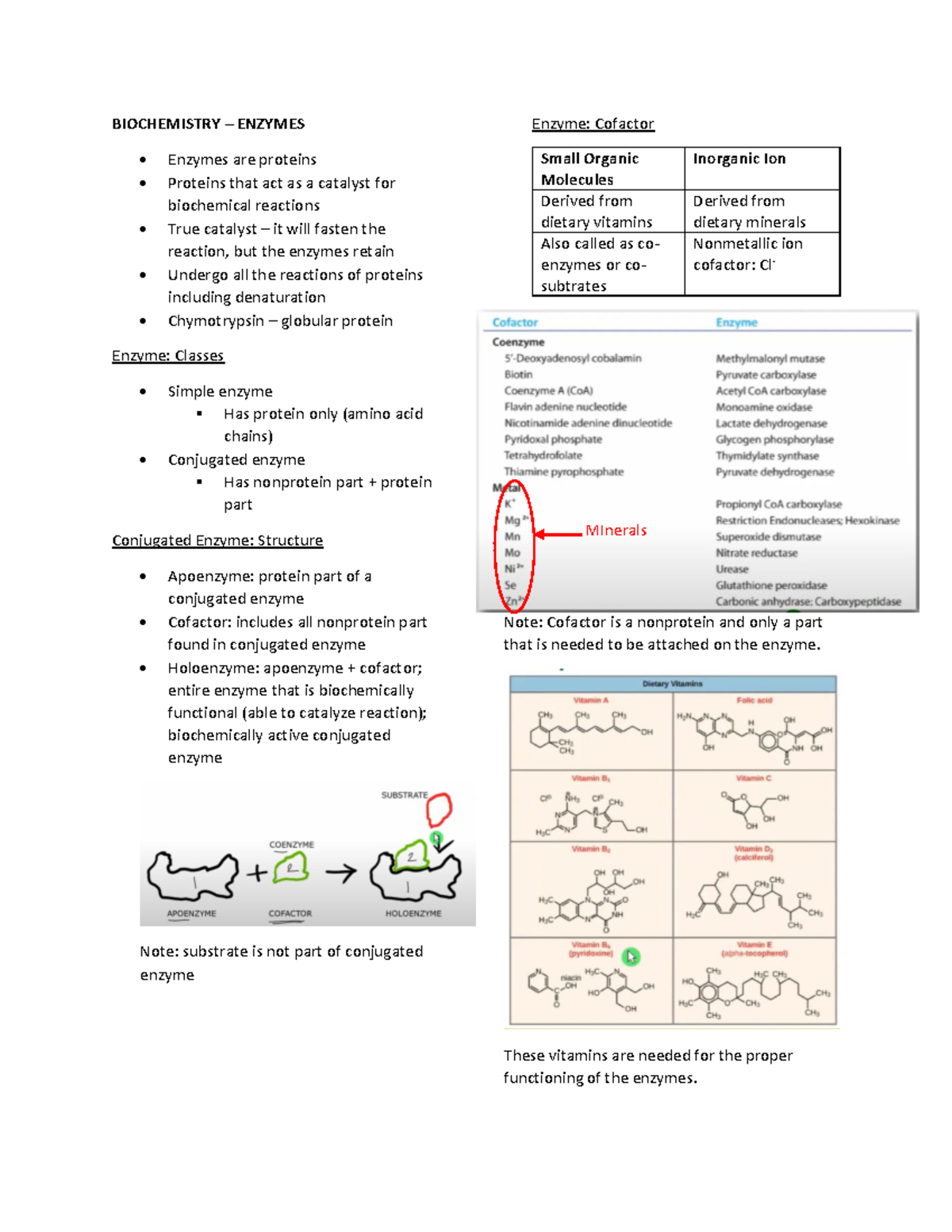 Biochem Enzymes BIOCHEMISTRY ENZYMES Enzymes are proteins Proteins
