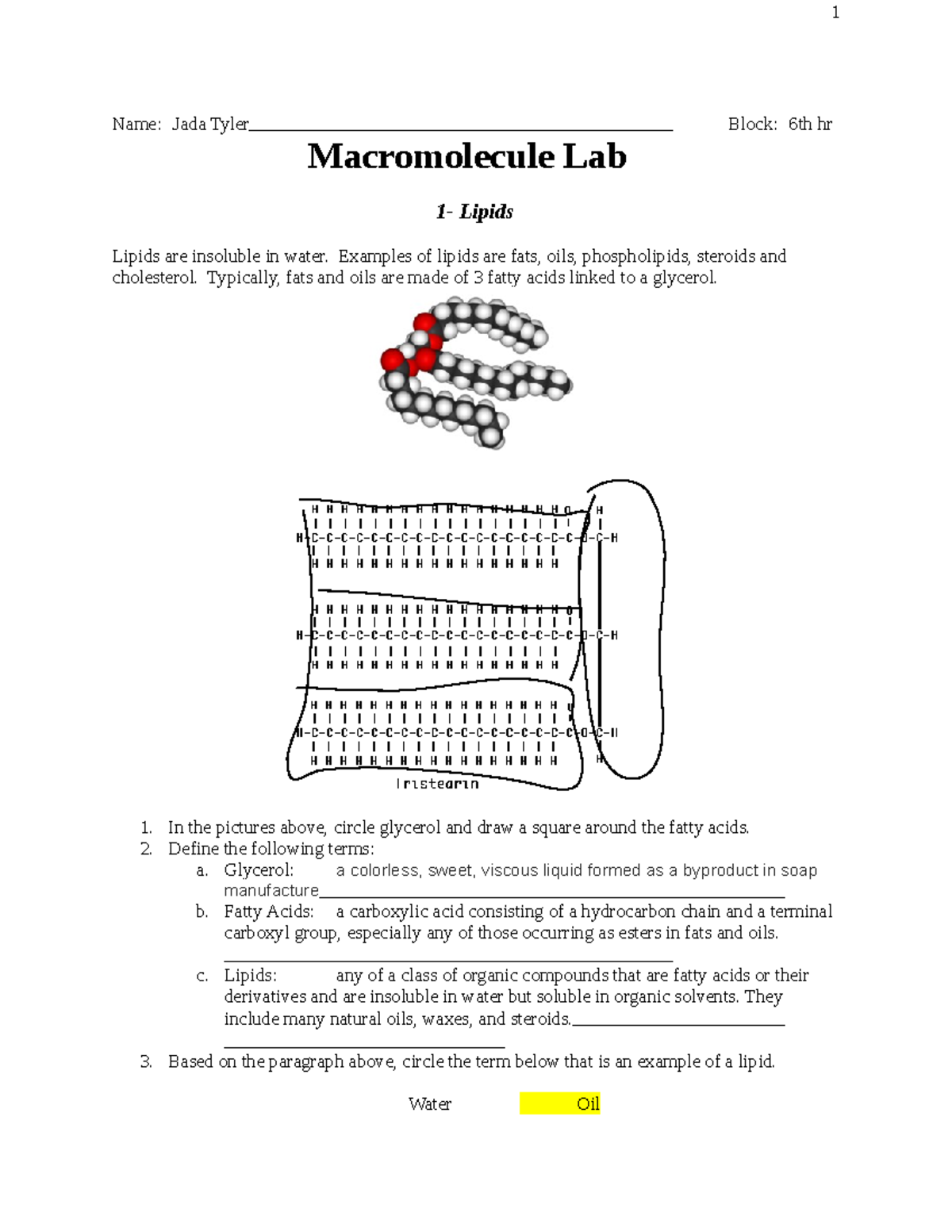 Macromolecule Lab Name Jada Tyler Block 6th hr Macromolecule Lab 1