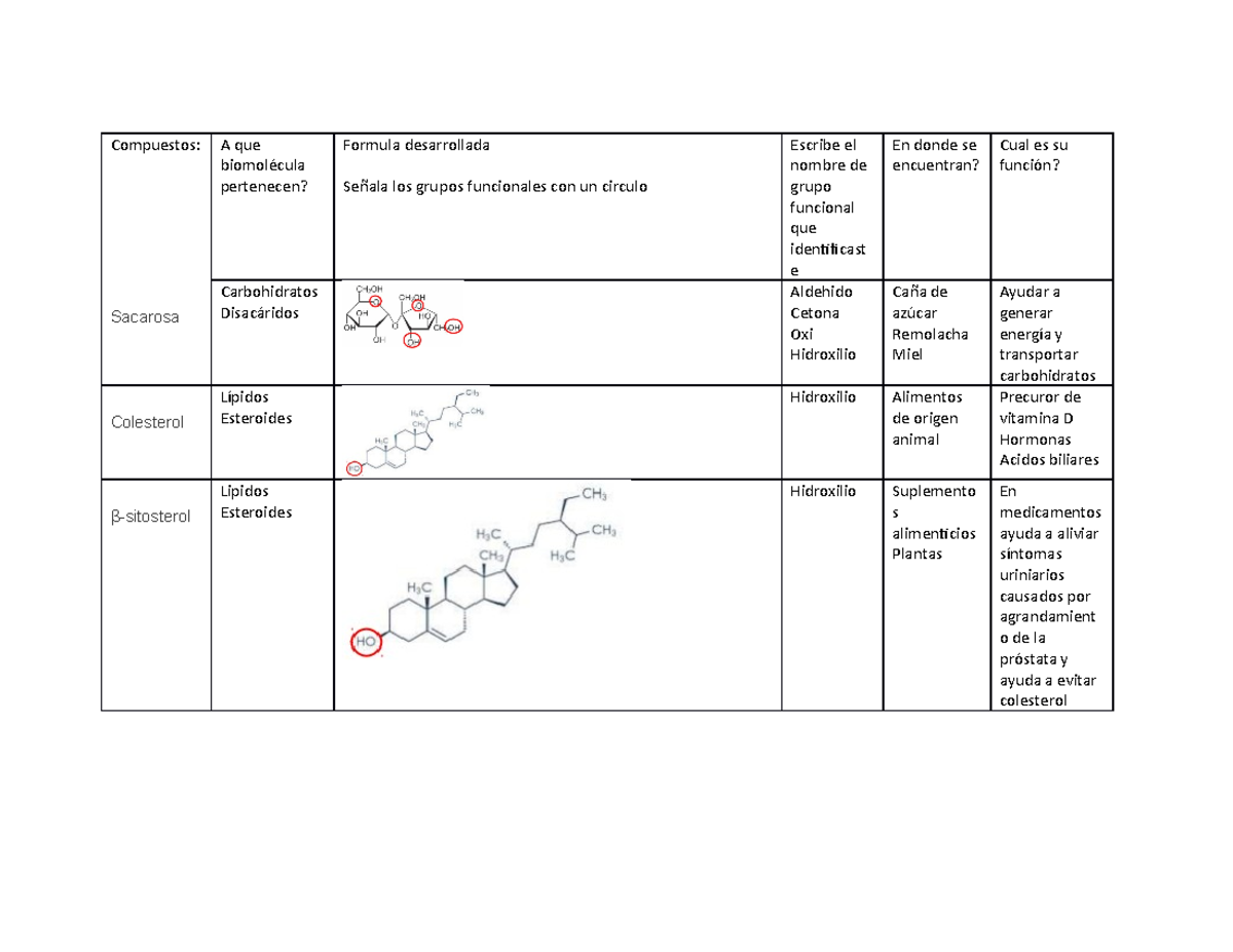 Ejercicio 11 - Compuestos: A Que Biomolécula Pertenecen? Formula ...