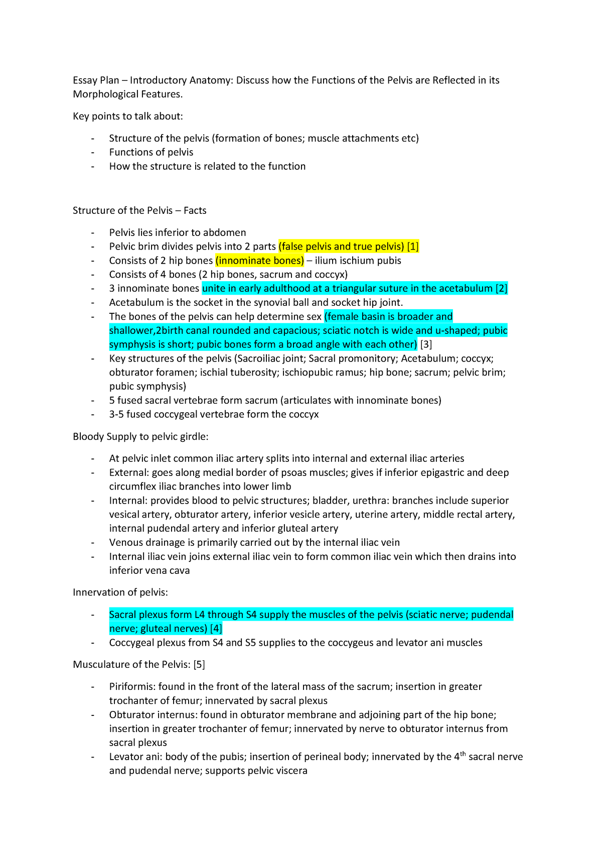 Essay Plan - Key points to talk about: Structure of the pelvis ...