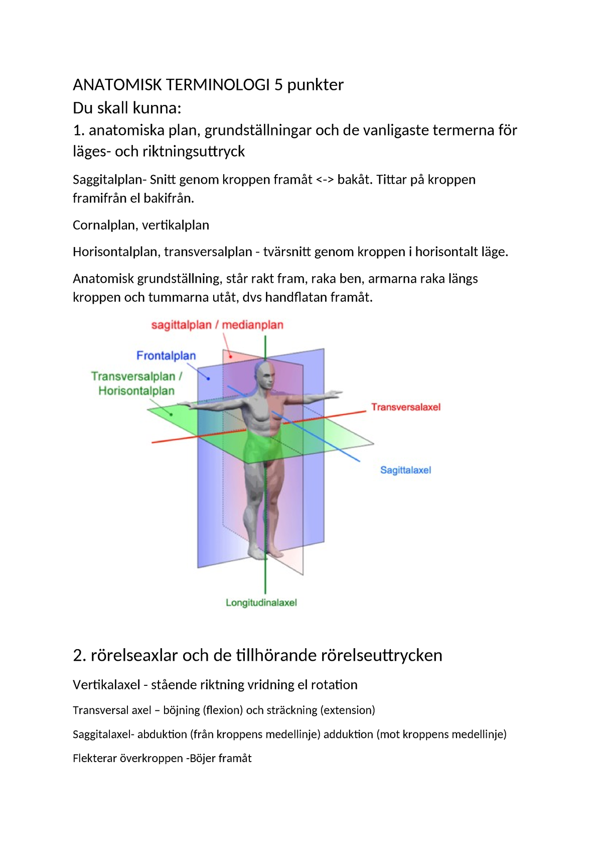 Anatomisk Terminologi Målbeskrivning - ANATOMISK TERMINOLOGI 5 Punkter ...