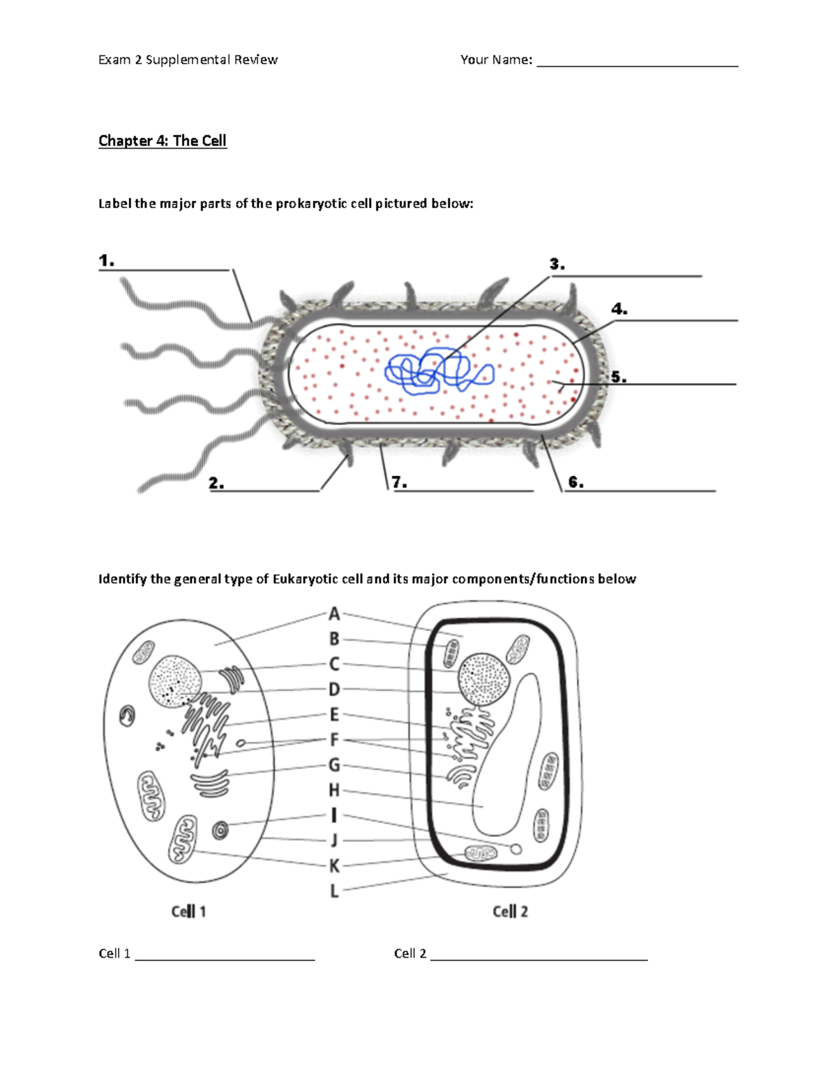 GB1 Exam2 Supplemental Review 2015 1 - Exam 2 Supplemental Review Your ...