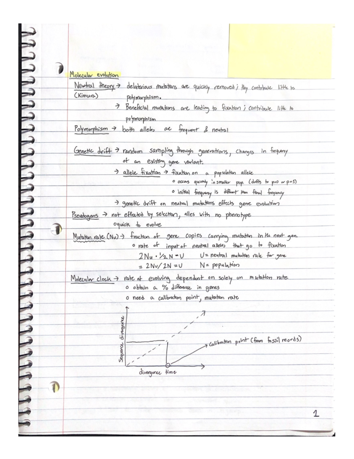 Scanned Documents-1 - Professor Minkely's Lecture notes for the ...