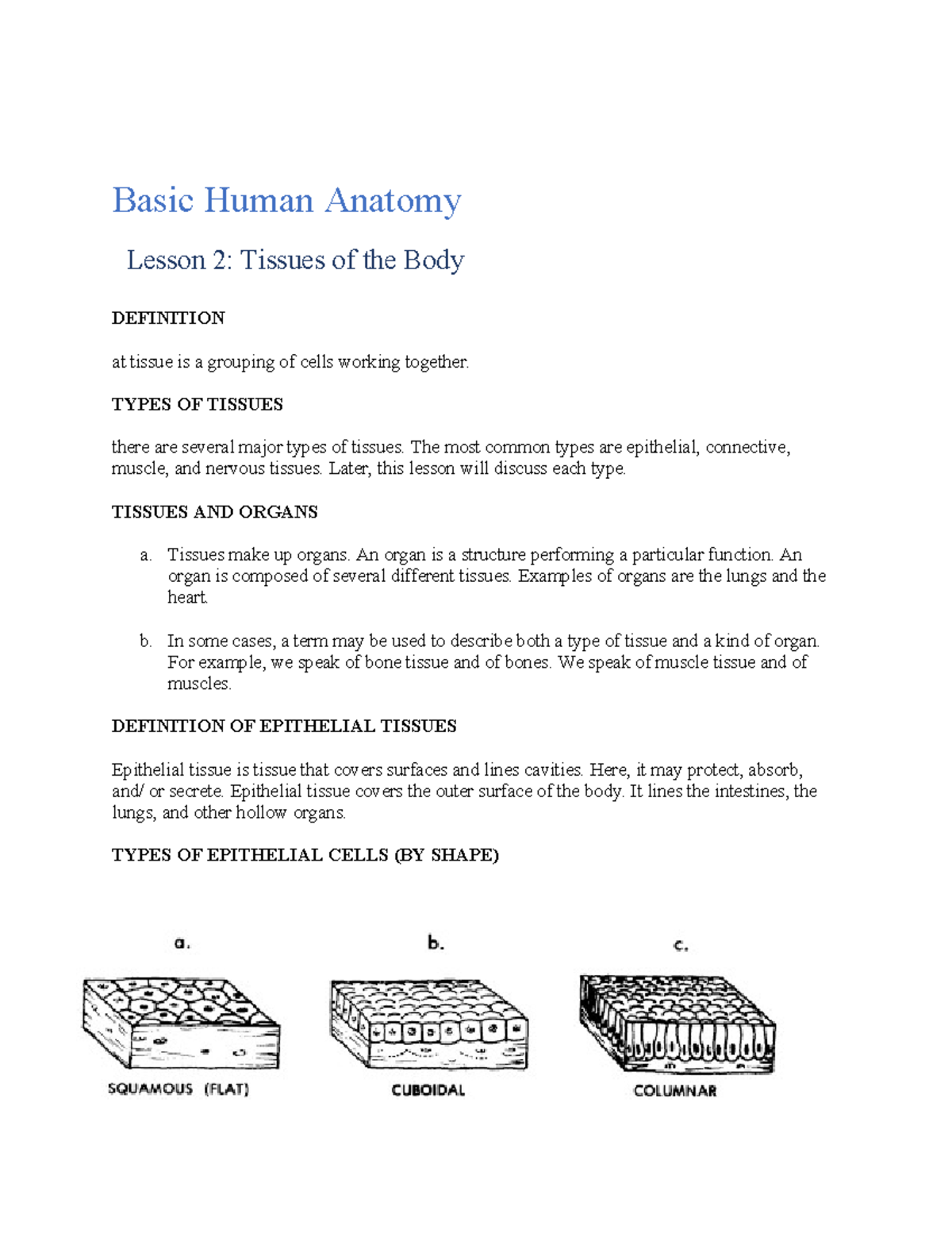 Basic Human Anatomy 2 - notes on lecture - Basic Human Anatomy Lesson 2 ...